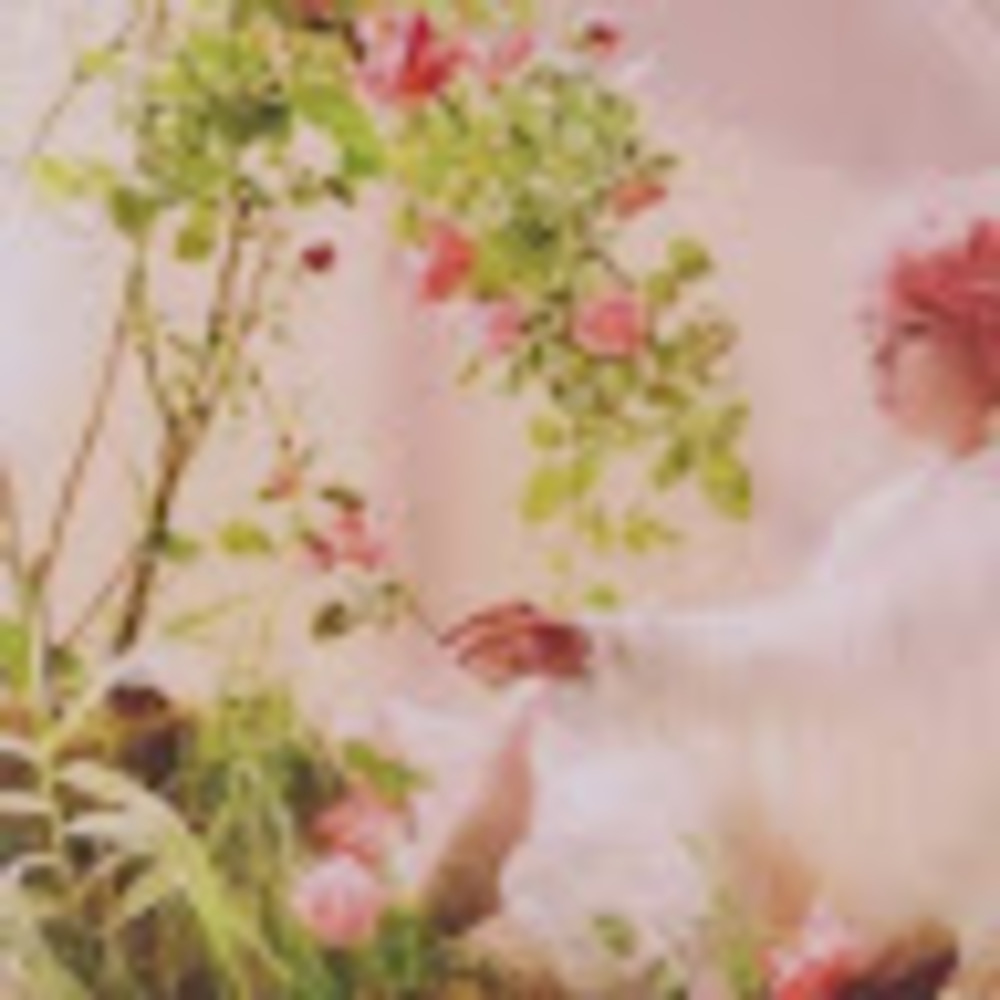 Meet your Posher, Autumn